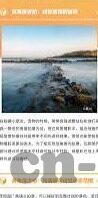 91亚洲高清麻豆-91亚洲高清麻豆，解析网络时代审美交融的个性与多元现象