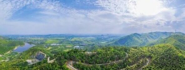 后入人妻在线-探索网络伦理的边界，关于后入人妻在线现象的深思