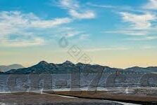 狐狸视频成人-狐狸视频成人，网络文化的一道独特风景