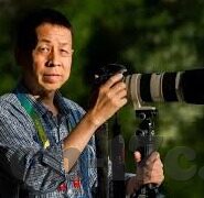 欧美亚洲巨乳波霸中文字幕-跨文化视角下的女性魅力，欧美与亚洲的巨乳波霸现象