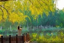 人妻中文视频-探索人妻生活，中文视频中的情感与日常