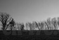 糖心app免费观看网站-解锁独家视界，探索糖心APP的免费影视盛宴